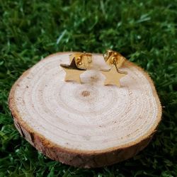 Earring (Stainless Steel)