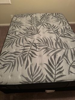Sealy mattress and box spring, Queen