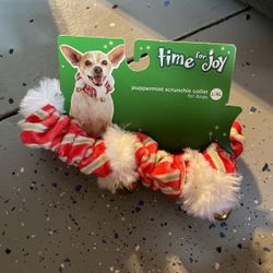 Christmas Pet