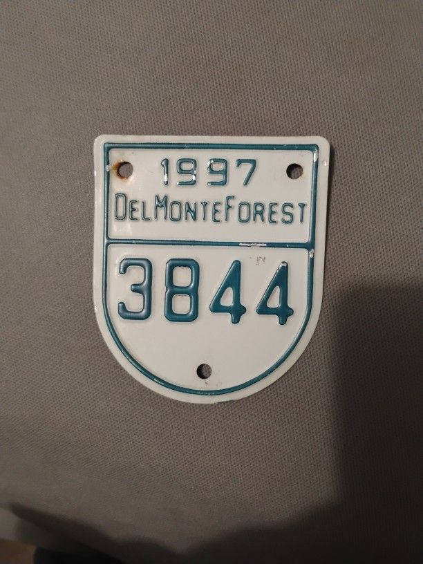 License Plate