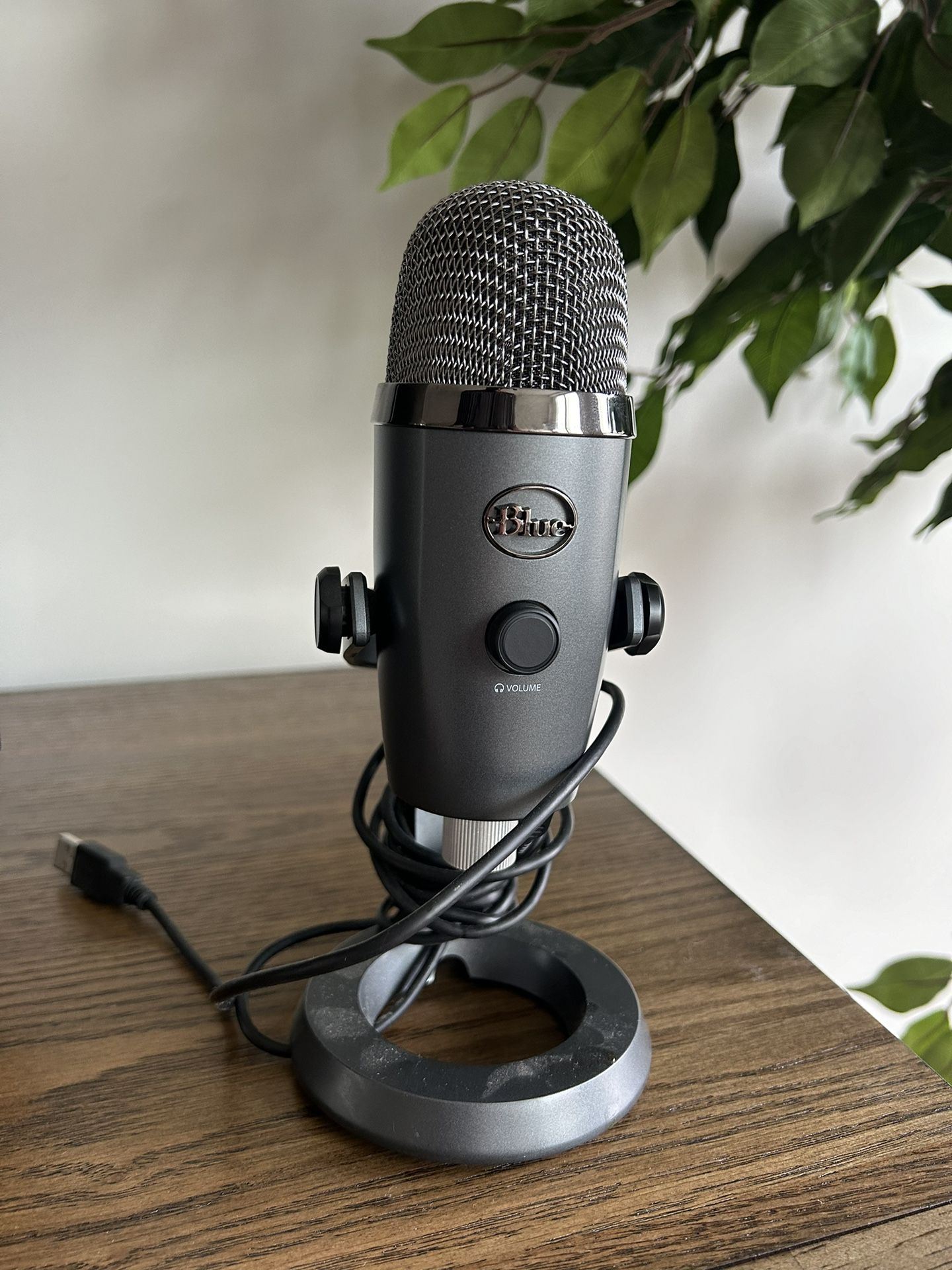 Blue YETI Microphone