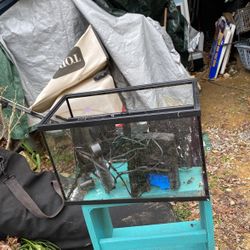 5 Gallons Fish Tank 35 Dollars 