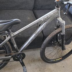 2004 specialized p2