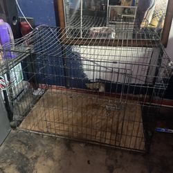 XL dog Kennel