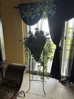 Beautiful Planter’s