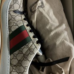 Gucci Screener 