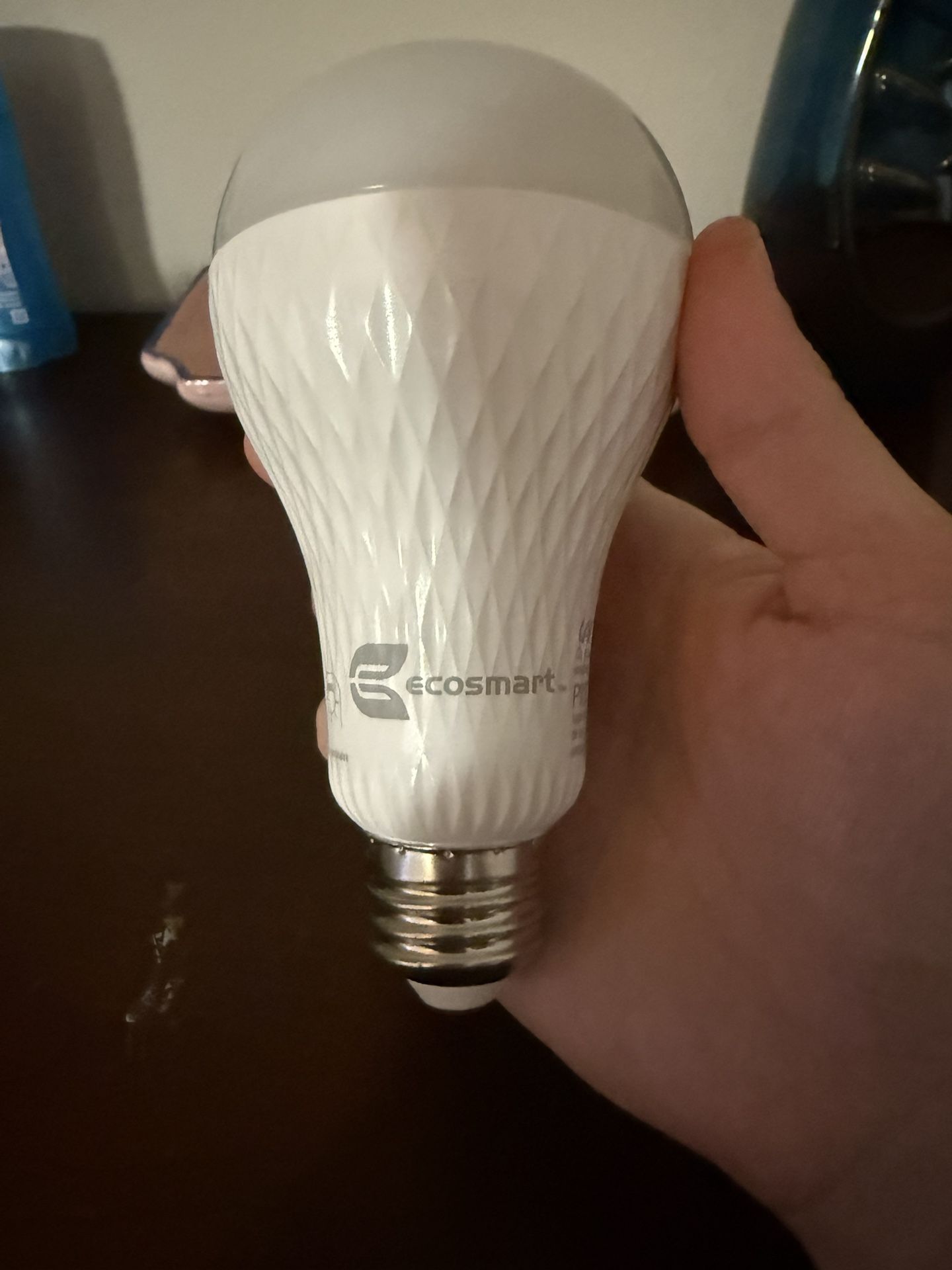 eco smart speaker lightbulb