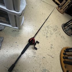 50$ Beginner Daiwa Baitcaster Combo. Two Piece. 