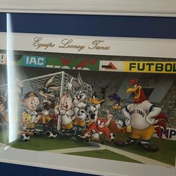 Looney Tunes Soccer Euro Picture