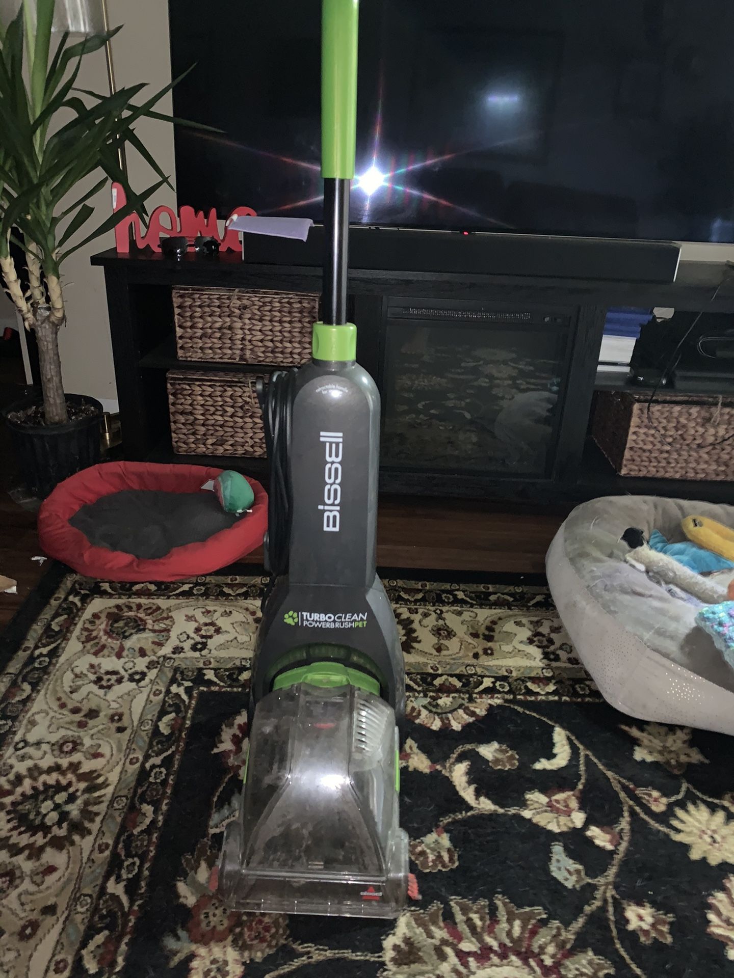 Bissell Small Carpet Cleaner