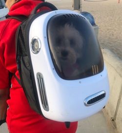Dog/cat carrier