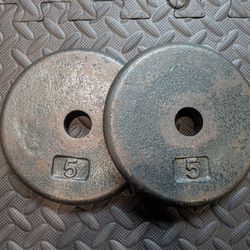 Pair of 5lb Dumbbell Weights