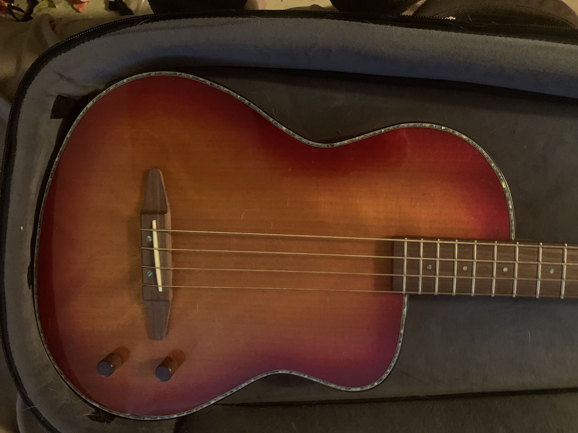 Rick Turner / Michael Kelly B4SB Bass W/ Hybrid Case