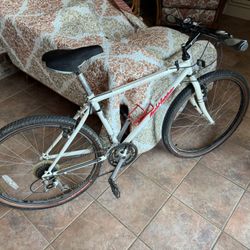 Rockhopper Mountain Bike