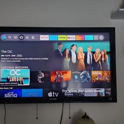 50"  Sony T. V. 