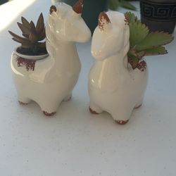 Mothers Day Gifts 🎁  Matching Llama Set With Live Plant 
