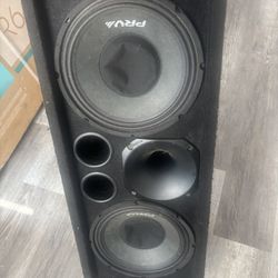 2 12 Inch Prv Speakers Chuchero
