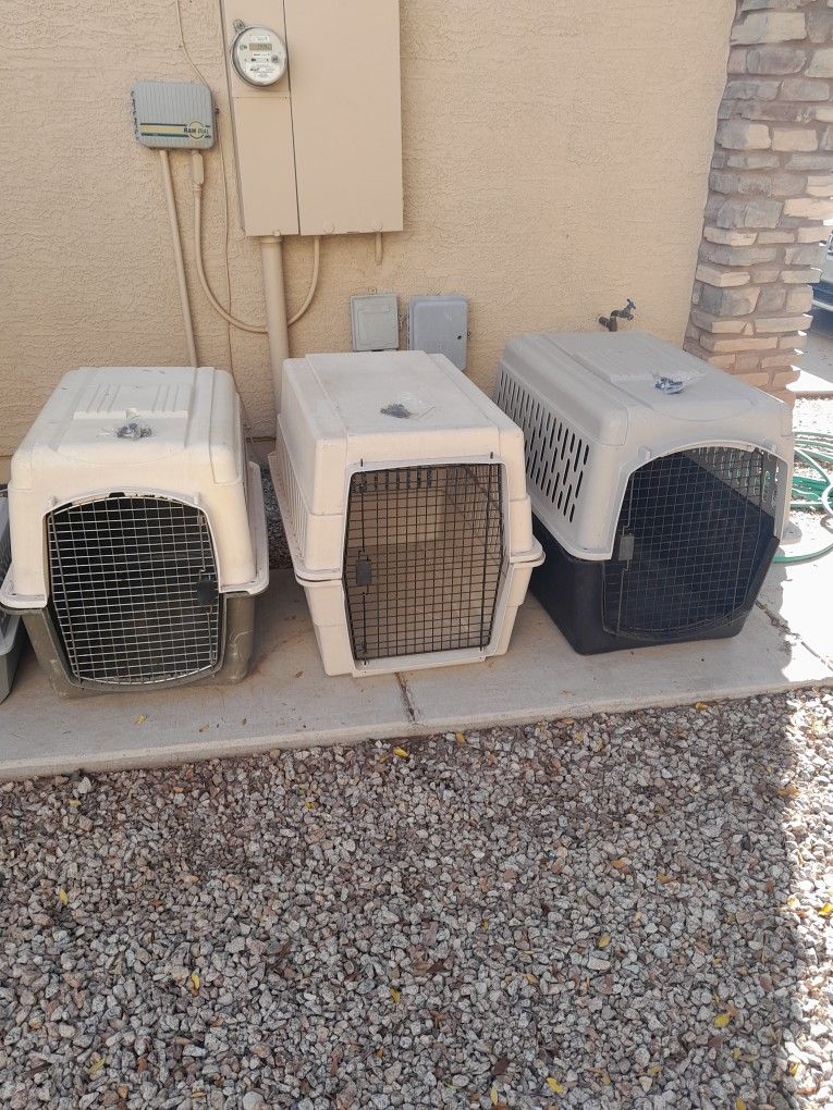 Large Or X-Large Pet Dog Carrier Kennels $30-$40 Each See All Photos 