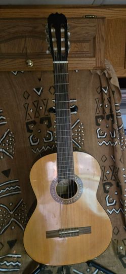 6 string acoustic guitar