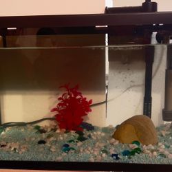 10 Gal Fish Tank 