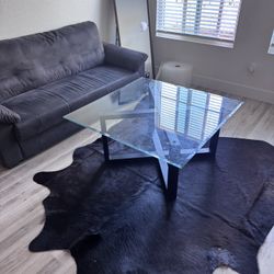 Living Room Table and Couch