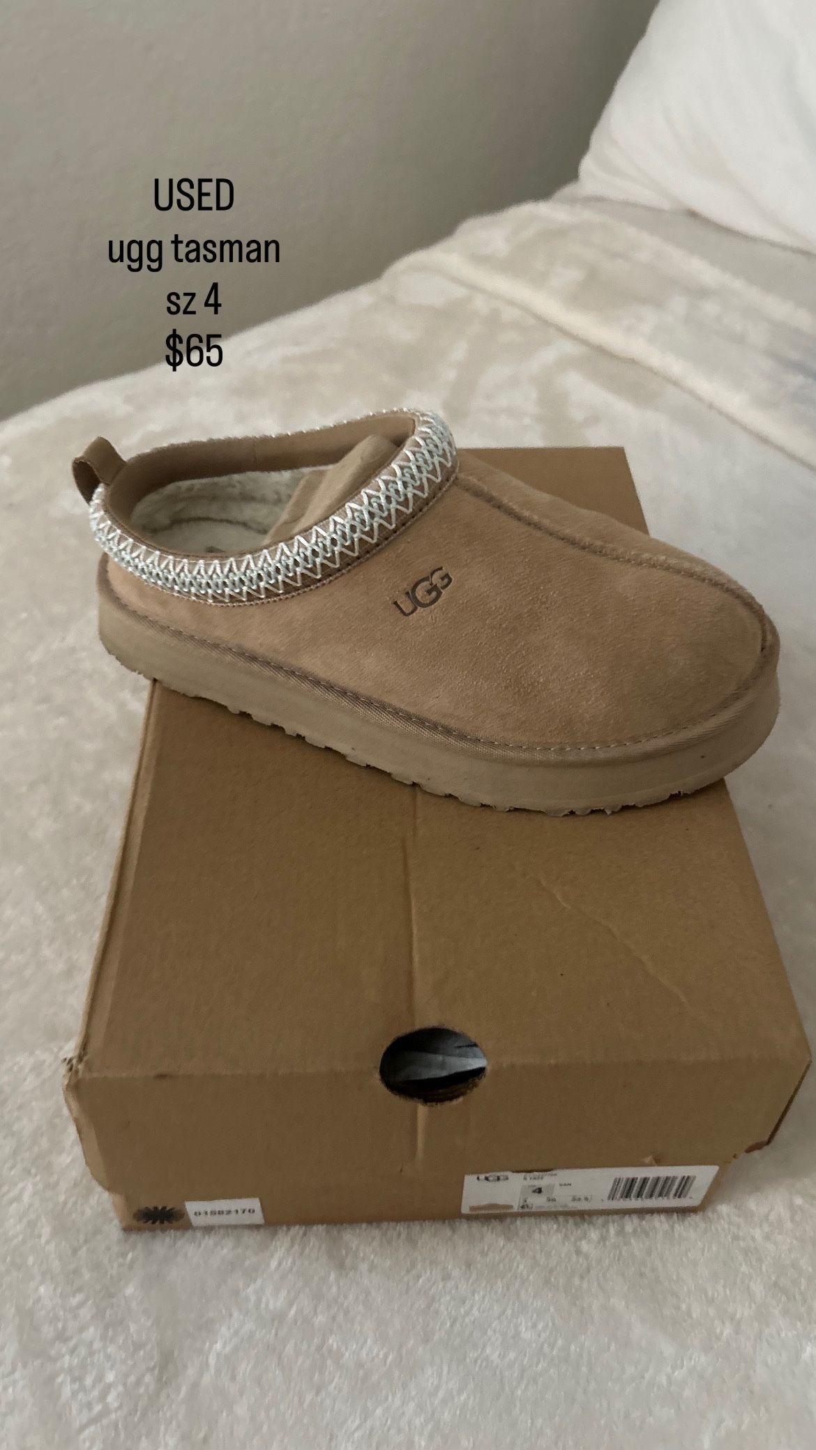 tasman ugg