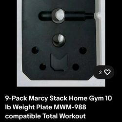 Home Gym 10 lb Weight 9 Plates Set