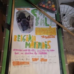 Belgium Mini Pool Table