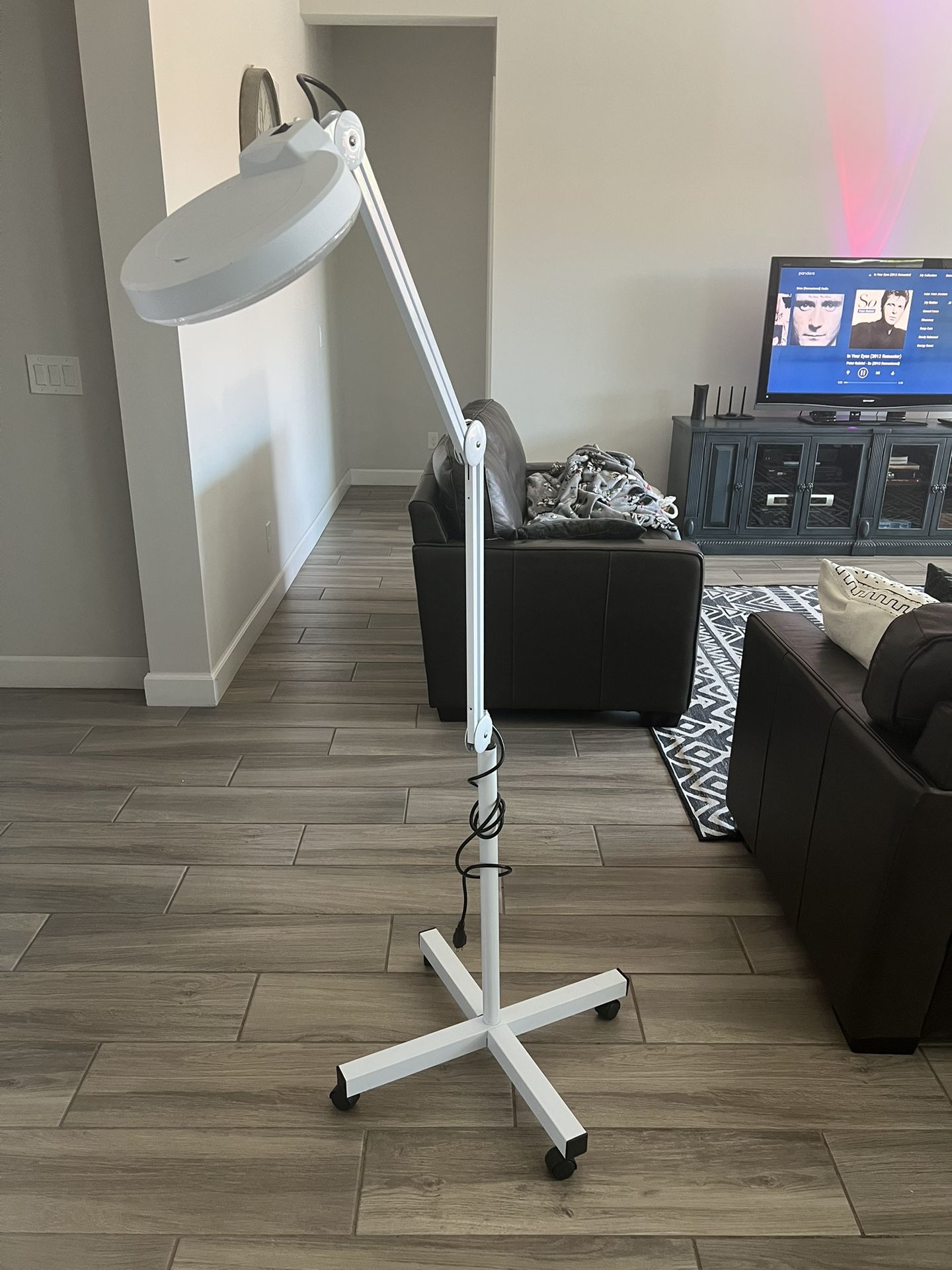 LED Magnifying Lamp Light 