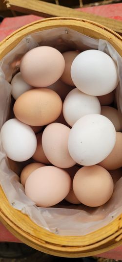 DAILY FRESH EGGS