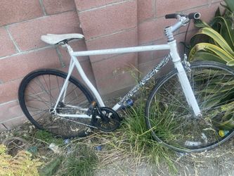 Dixie Bike
