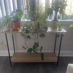 2 Tier Wooden Console Table 