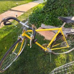 Schwinn 1970s Bike
