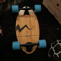 New Eggboard ~Mini Longboard~