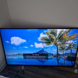 LG Large Flat Screen TV