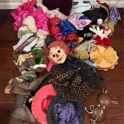 Mixed Lot of Costumes and Accessories great for Halloween party or family dress up $10 for All