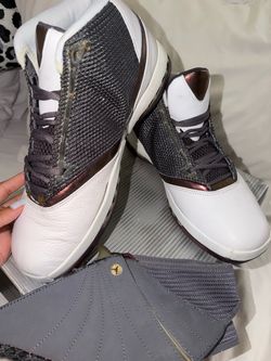 Collector Jordan’s Air Jordan XVI+  size 12