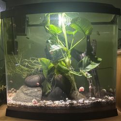 Aquarium Black 5 Gallon LED MiniBow Plastic