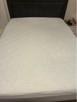Queen size quilted mattress protector