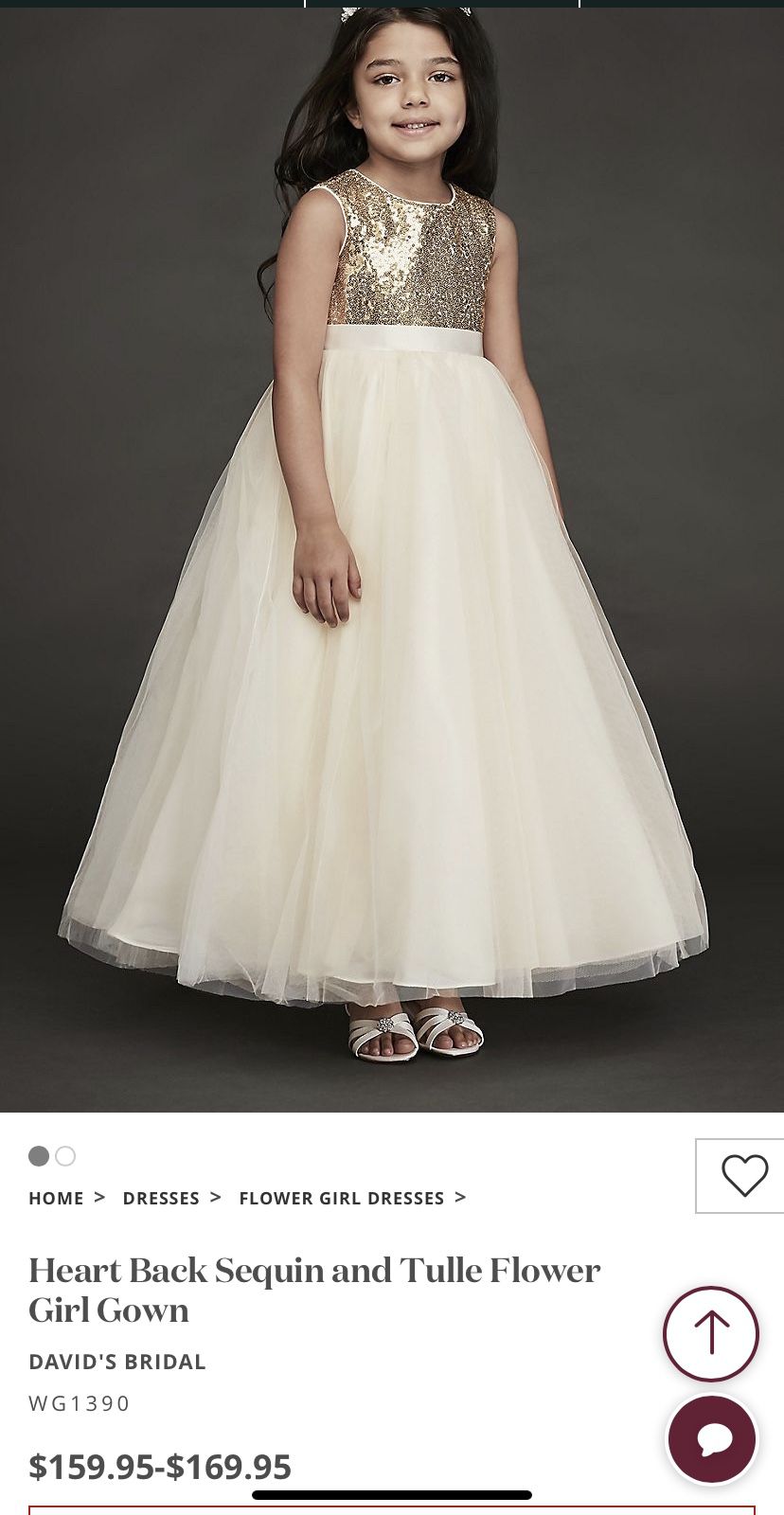 NEW Beautiful David’s Bridal Flower girl Or Party Dress