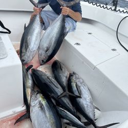 Fishing Guide 