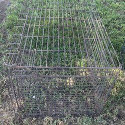 Dog Kennels