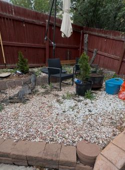 Free landscaping rocks!