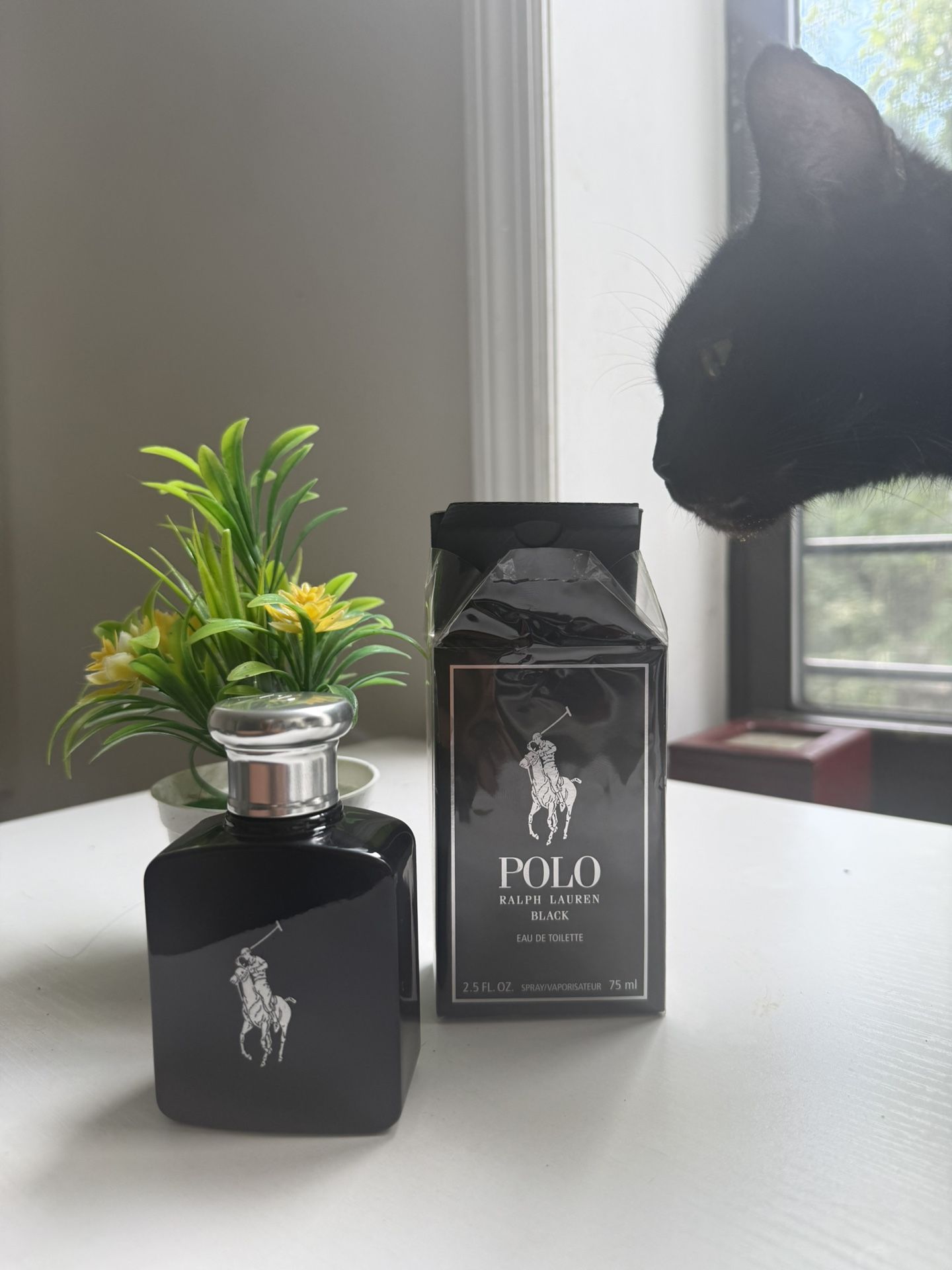 Polo Ralph Lauren Cologne