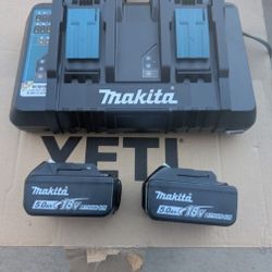 Dual Charger, And Two 5ah Batteries 