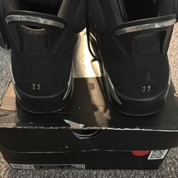 Air Jordan 6 Chrome 9.5