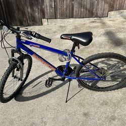 Blue Bike,Road Master,