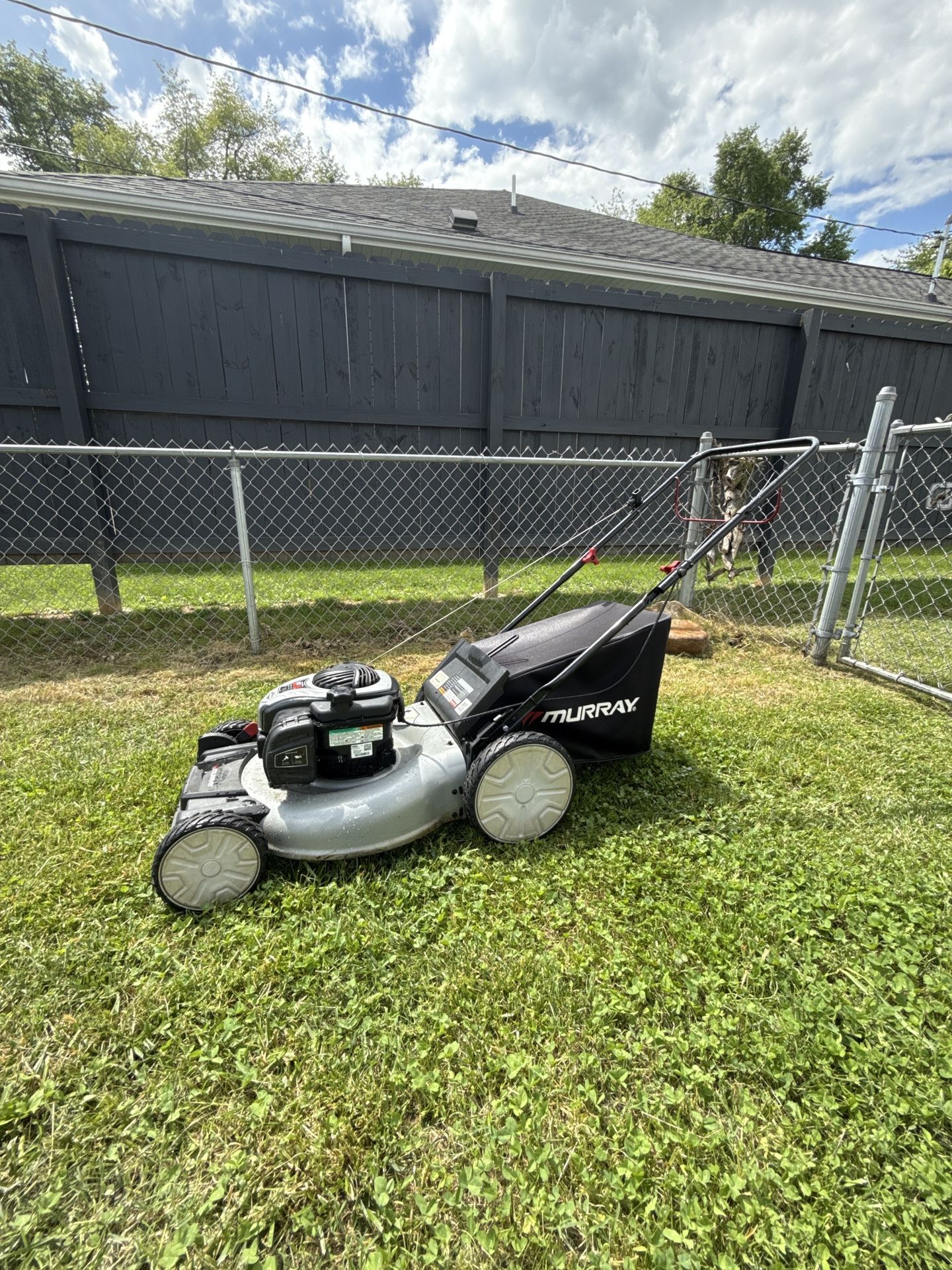 Murray EX550 Push lawn Mower
