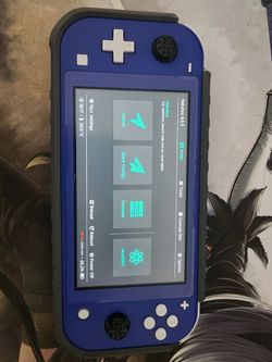 Nintendo Switch Lite - RP2040
