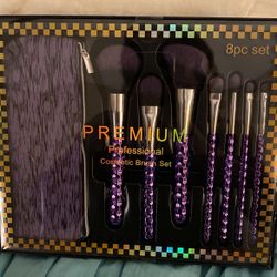 Cosmetic Brush Set
